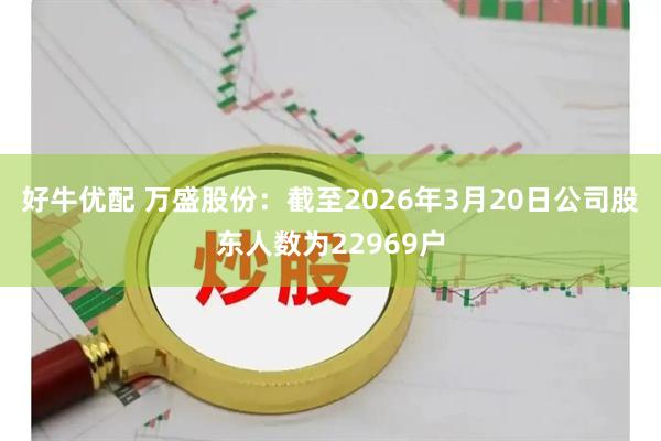 好牛优配 万盛股份：截至2026年3月20日公司股东人数为22969户