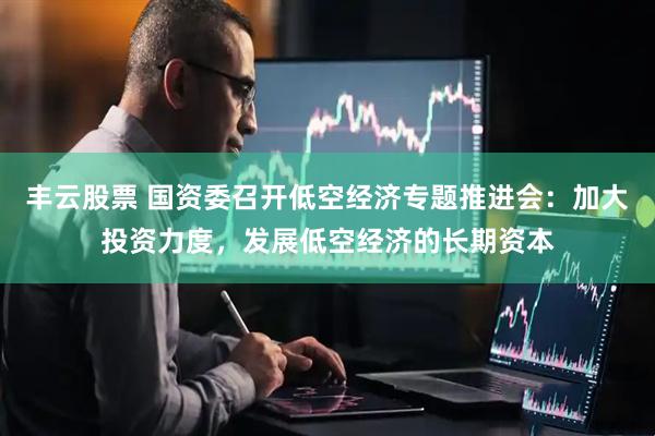 丰云股票 国资委召开低空经济专题推进会：加大投资力度，发展低空经济的长期资本